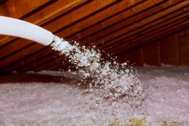 Best Geographic-Specific Insulation Services in St Paul, MO