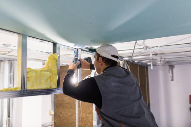 Best DIY Insulation Kits and Guidance in St Paul, MO