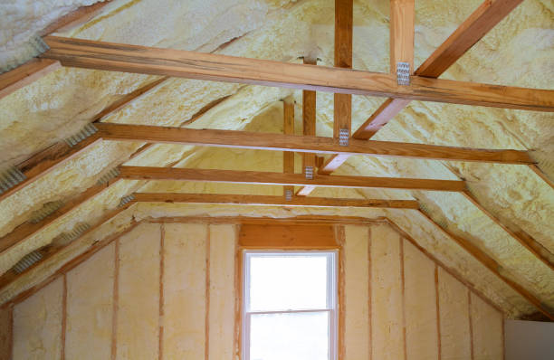 Best Residential Insulation in St Paul, MO