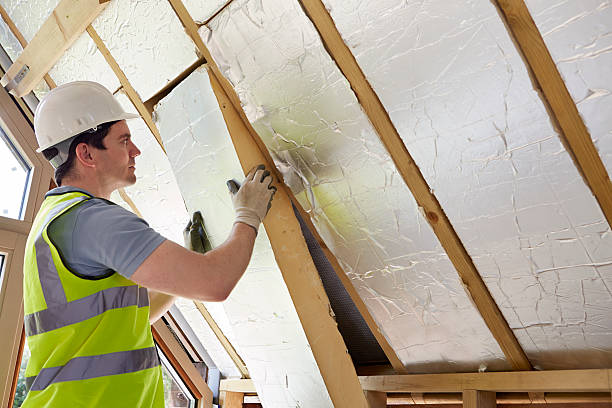 Best Insulation Maintenance and Repair in St Paul, MO