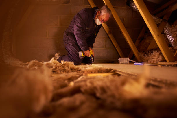 Best DIY Insulation Kits and Guidance in St Paul, MO
