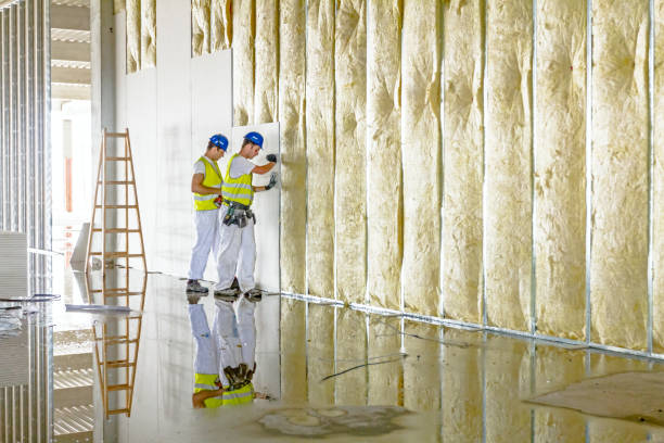 Best Spray Foam Insulation in St Paul, MO